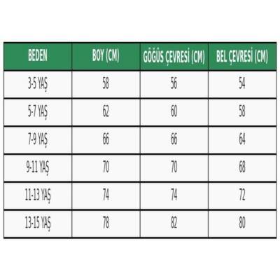 Kız Çocuk Şık Payetli Tüllü Özel Gün Elbisesi Yeşil - 4