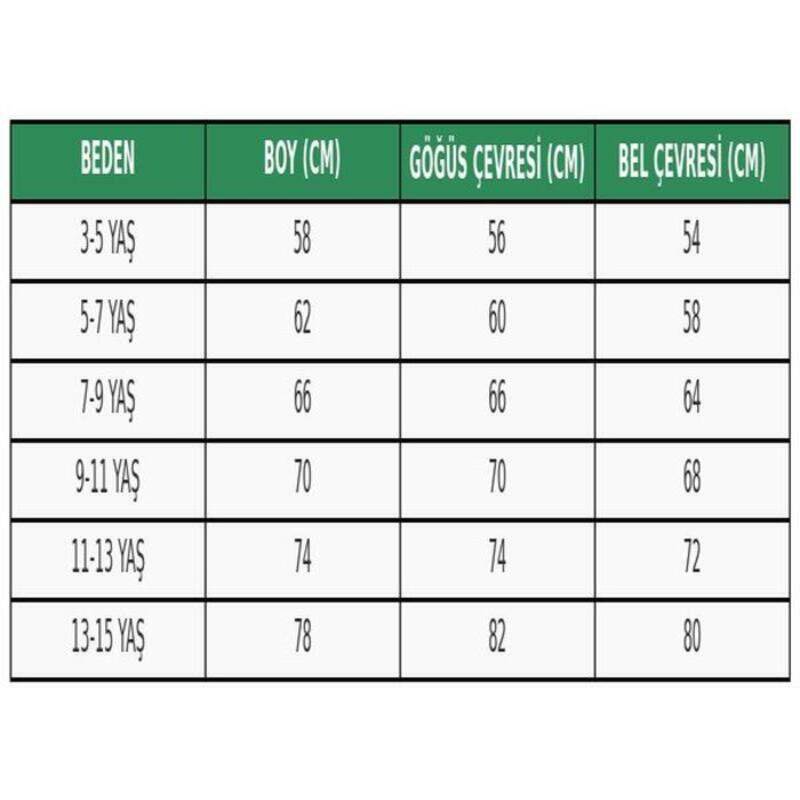 Kız Çocuk Şık Payetli Tüllü Özel Gün Elbisesi Yeşil - 4